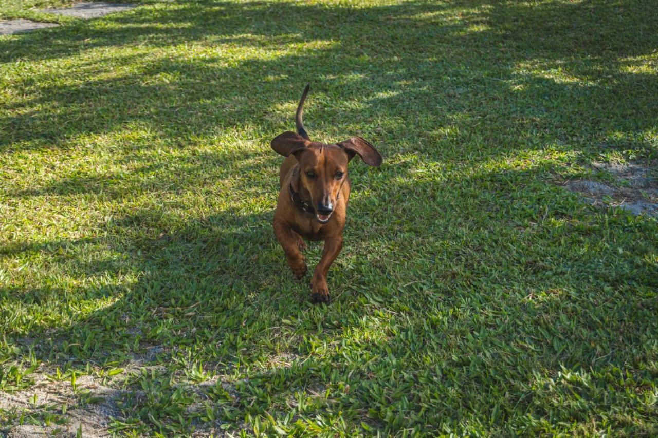 Casa Vista Para Montanha Pet Friendly カラグァタトゥバ エクステリア 写真