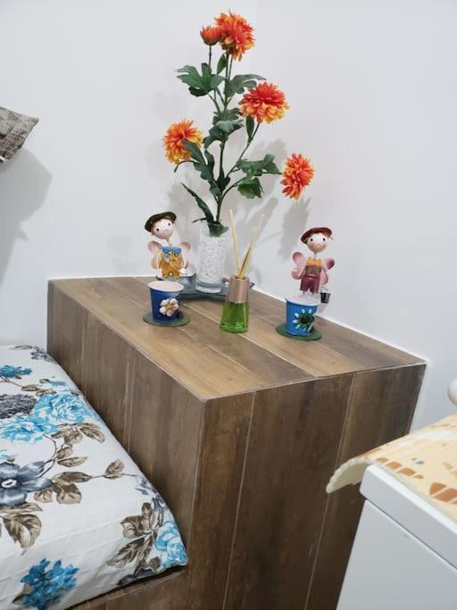 Casa Vista Para Montanha Pet Friendly カラグァタトゥバ エクステリア 写真